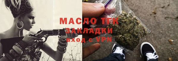 шишки Инта