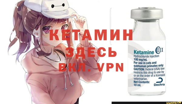 шишки Инсар