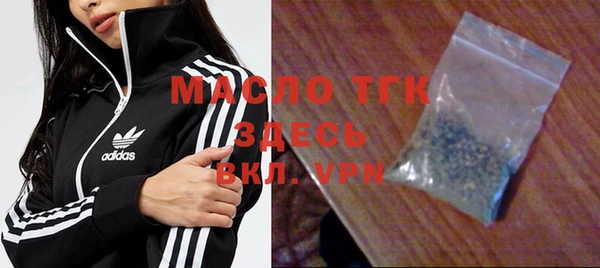 шишки Инта