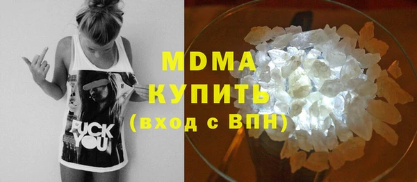 шишки Инта