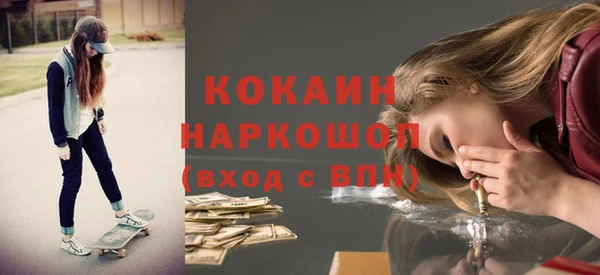 шишки Инта