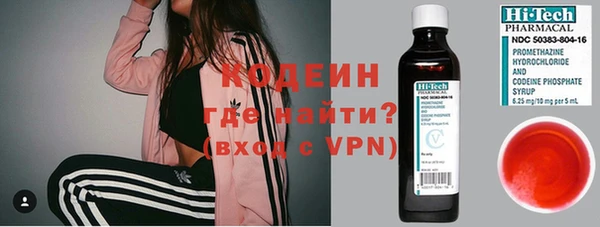 шишки Инта
