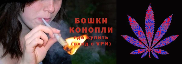 шишки Инсар
