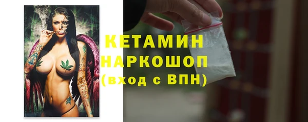 шишки Инсар
