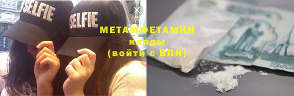 шишки Инта