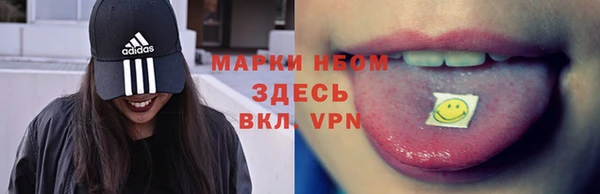 гидропоника Иннополис