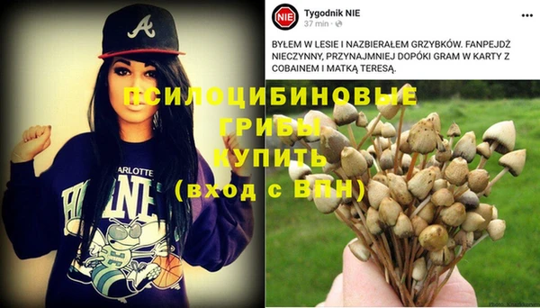 ешки Каменск-Шахтинский