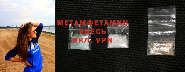 шишки Инта