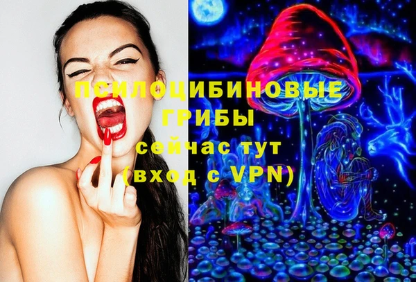 гидропоника Иннополис