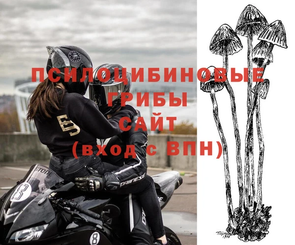 гидропоника Иннополис