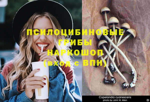 шишки Инсар
