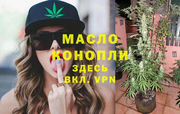 шишки Инта